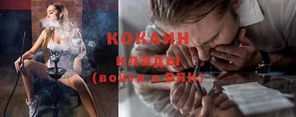 индика Новокубанск