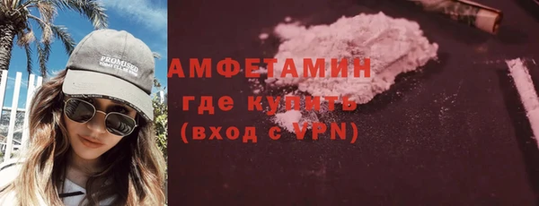 индика Новокубанск