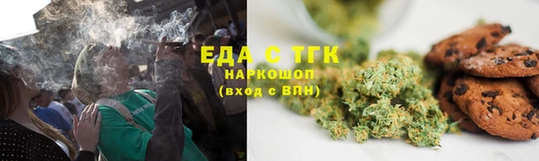 индика Новокубанск