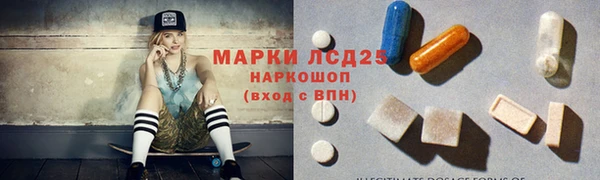 индика Новокубанск