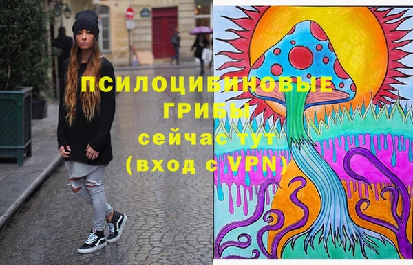 твердый Нягань