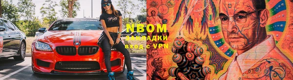 индика Новокубанск