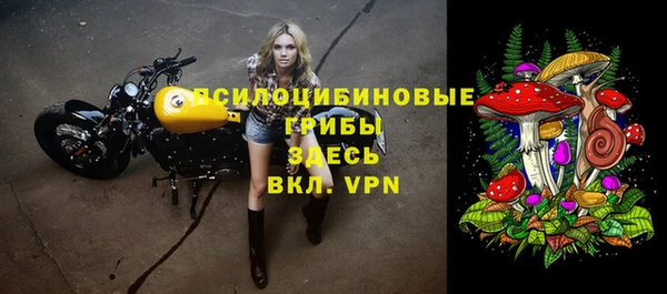 трава Новодвинск