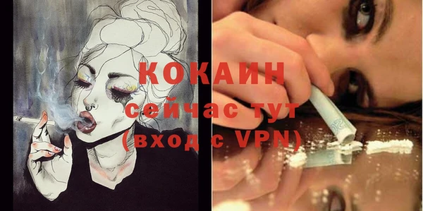 индика Новокубанск