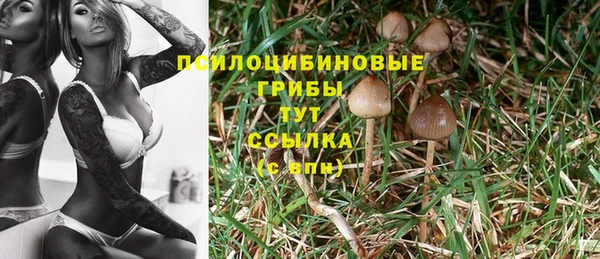 трава Новодвинск