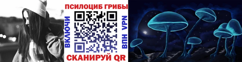 Псилоцибиновые грибы мицелий  как найти закладки  Новоалтайск 
