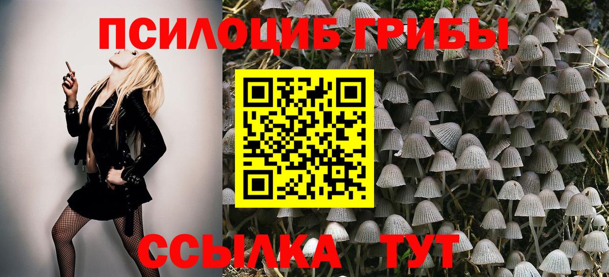 Галлюциногенные грибы GOLDEN TEACHER  Галлюциногенные грибы ЛСД  купить закладку  Вход с VPN  Новоалтайск 