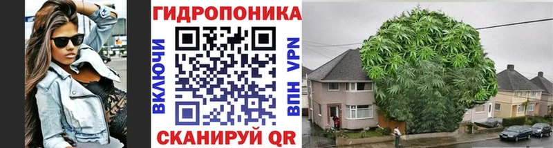 Конопля VHQ Новоалтайск